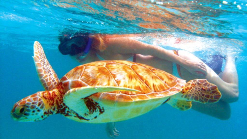 Anema Wellness Villa & Spa Gili Lombok - Diving Center Padi Tanjung  Zewnętrze zdjęcie
